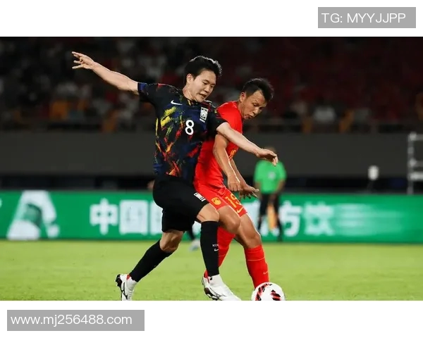 CCTV5赛事直播：魅力无限，运动精神传承